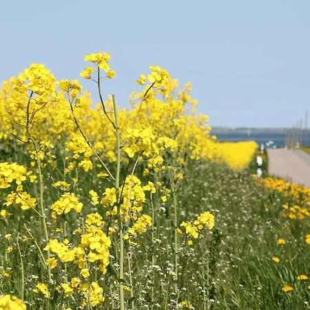 Ostsee-land-ferienhaus *